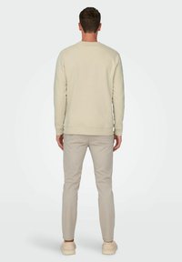 Only & Sons ONSTODD REG PHOTOPRINT CREW NECK - Felpa - smoke gray