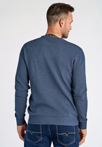 Maglione blu a maglia con un motivo testurizzato, polsini e orlo a costine, indossato con jeans blu scuro, che mostra una vista posteriore casual.