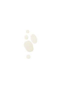 Glansiga, bleka beige droppar av varierande storlek på en vit bakgrund. Slät textur med en reflekterande yta som framhäver deras form.