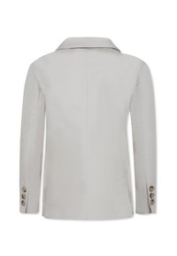 Lichtgrijze blazer met een reverskraag, enkele achteropening en drukknoopmanchetten. Soepele textuur en getailleerde pasvorm, geschikt voor formele gelegenheden.