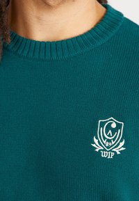 Carhartt WIP Strickpullover - dark green