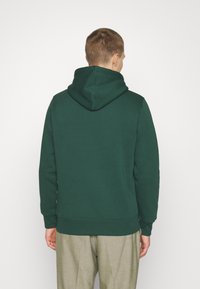 Green hooded sweatshirt with a relaxed fit, ribbed cuffs and hem, made of soft fabric. View shows the back with a low-profile hood.