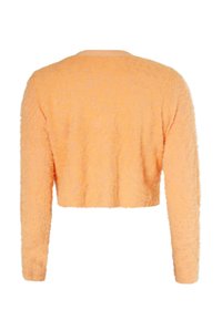 Maglione corto arancione in peluche con maniche lunghe e superficie testurizzata, dotato di scollatura rotonda e senza dettagli hardware visibili.