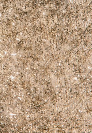 Tessuto metallico con una texture e un leggero tono dorato, caratterizzato da filamenti lucenti sparsi, creando un aspetto scintillante e stratificato.