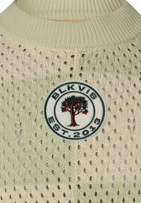 Pull en maille de couleur vert menthe et crème avec un design en maille ouverte. Il présente un patch brodé rond avec un arbre et "BLK VIS EST. 2013."