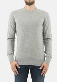 Schott Felpa - gris