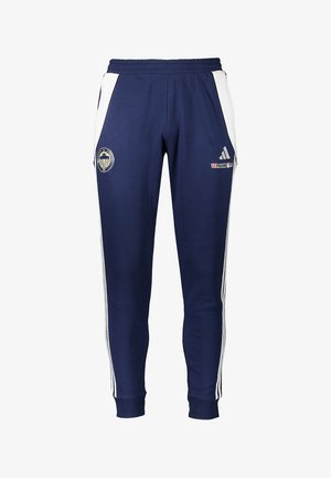 adidas Performance, ADIDAS PERFORMANCE DELAY SPORTS HOSE REPLICAS - PANTS - NATIONAL - Jogginghose - blau