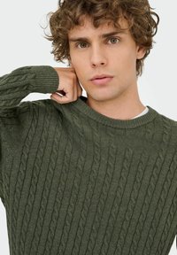 Pull en tricot vert avec un motif en torsades, col et poignets côtelés, au toucher doux et à la coupe légèrement décontractée.