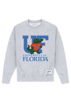 PARK FIELDS UNIVERSITY OF FLORIDA UF - Sweatshirt - heather grey