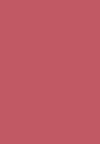 rose all day dusty pink