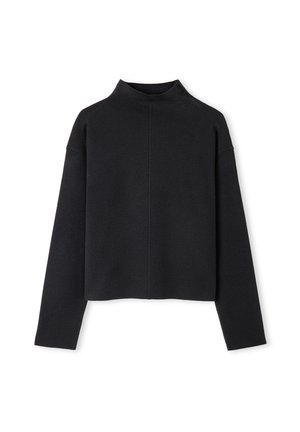 Zwart gecropt sweater met hoge hals, lange mouwen en een zachte textuur. Kenmerkt zich door een centraal naaddetail en een minimalistisch design.