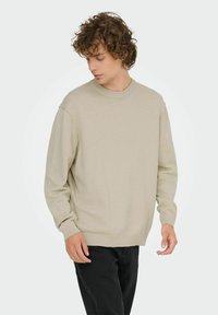 Lichtbeige trui met een ronde hals, lange mouwen en geribde manchetten, gestyled met zwarte broek, met een zachte textuur.