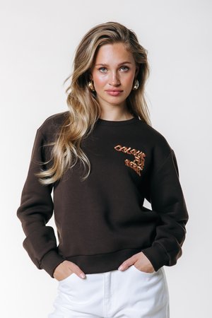 Colourful Rebel LOGO - Collegepaita - brown