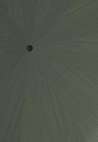 Superficie verde oscura con un patrón radial de líneas y pequeños puntos, con un agujero circular central. Textura suave y acabado mate.