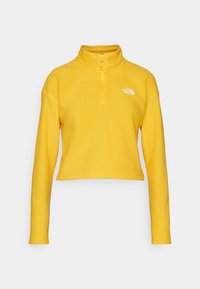 GLACIER CROPPED ¼ ZIP - Pulover iz flisa - summit gold