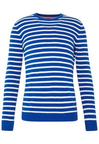 Modrý a bílý pruhovaný svetr s dlouhými rukávy, kulatým výstřihem a žebrovanými manžetami; hladká textura s kontrastní vnitřní límečkem.