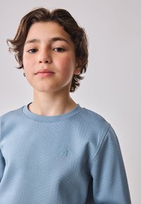 Lichtblauwe sweatshirt met een gestructureerd, geometrisch patroon en een ronde hals. Heeft geborduurde initialen op de borst.