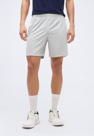 ID TRAIN BLOCKED SHORTS - Sport rövidnadrágok - grey/inverted aqua