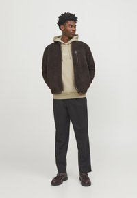Jack & Jones PREMIUM JPRBLUARCHIE NOOS - Sweatshirt - fields of rye