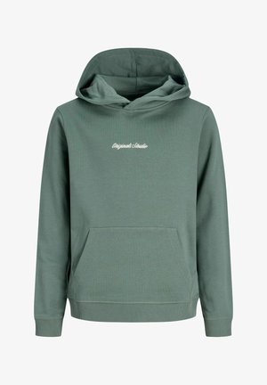 Garçon debout portant un sweat à capuche vert sur une chemise bleue, un pantalon marron et des chaussures beiges sur un fond clair uni.