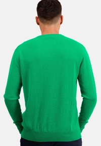 Mahogany NESTOR - Strickpullover - new green
