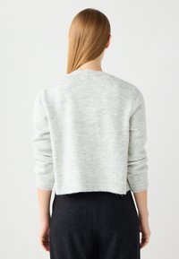 Grauer, kurz geschnittener Pullover aus weichem Material mit dezentem Muster, mit langen Ärmeln und gerippten Bündchen, von hinten betrachtet.