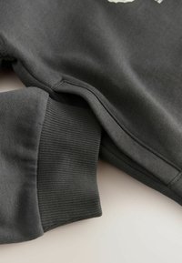 Sweatshirt gris foncé avec des poignets et un ourlet côtelés. La texture du tissu est lisse, avec des coutures discrètes et une coupe décontractée.