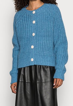 Cardigan bleu en tricot épais avec des boutons blancs porté sur une jupe en cuir noire, montrant le haut du corps et les bras.