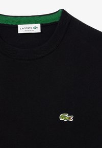 Maglione nero a maglia con scollo a pomodoro e bordo a coste verde, accompagnato da un piccolo logo di coccodrillo bianco e verde sul petto. Fit regolare.