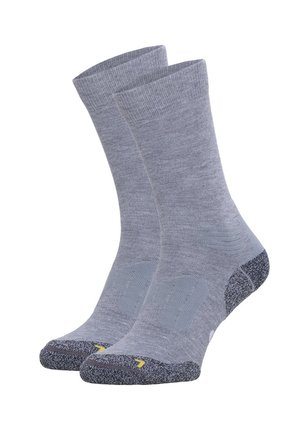 ANTI-TICK COOLMAX 2-PACK - Socken - light grey