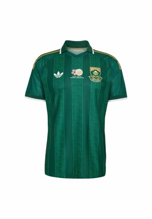 Grøn sydafrikansk fodboldtrøje med mønstrede lodrette striber, gulddetaljer, Adidas-logo og emblem for Sydafrikas fodboldforbund.