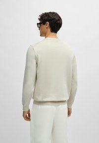 Hellbeige Pullover aus weichem Material, mit Rundhalsausschnitt, gerippten Bündchen und Saum. Rückansicht mit minimaler Detailgestaltung.