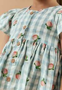 Modré a bílé kostkované šaty s krátkými nadýchanými rukávy, zdobené broskvovými květinovými vzory a dřevěnými knoflíky vpředu. Měkká, texturovaná tkanina.