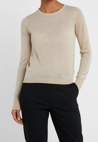 Maglione beige a maniche lunghe realizzato in tessuto scintillante, con scollatura a girocollo e design aderente, abbinato a pantaloni neri. Stile elegante e minimalista.