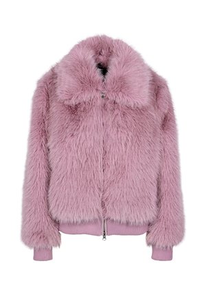 Freaky Nation ELLINOR - Winterjacke - frosted rose