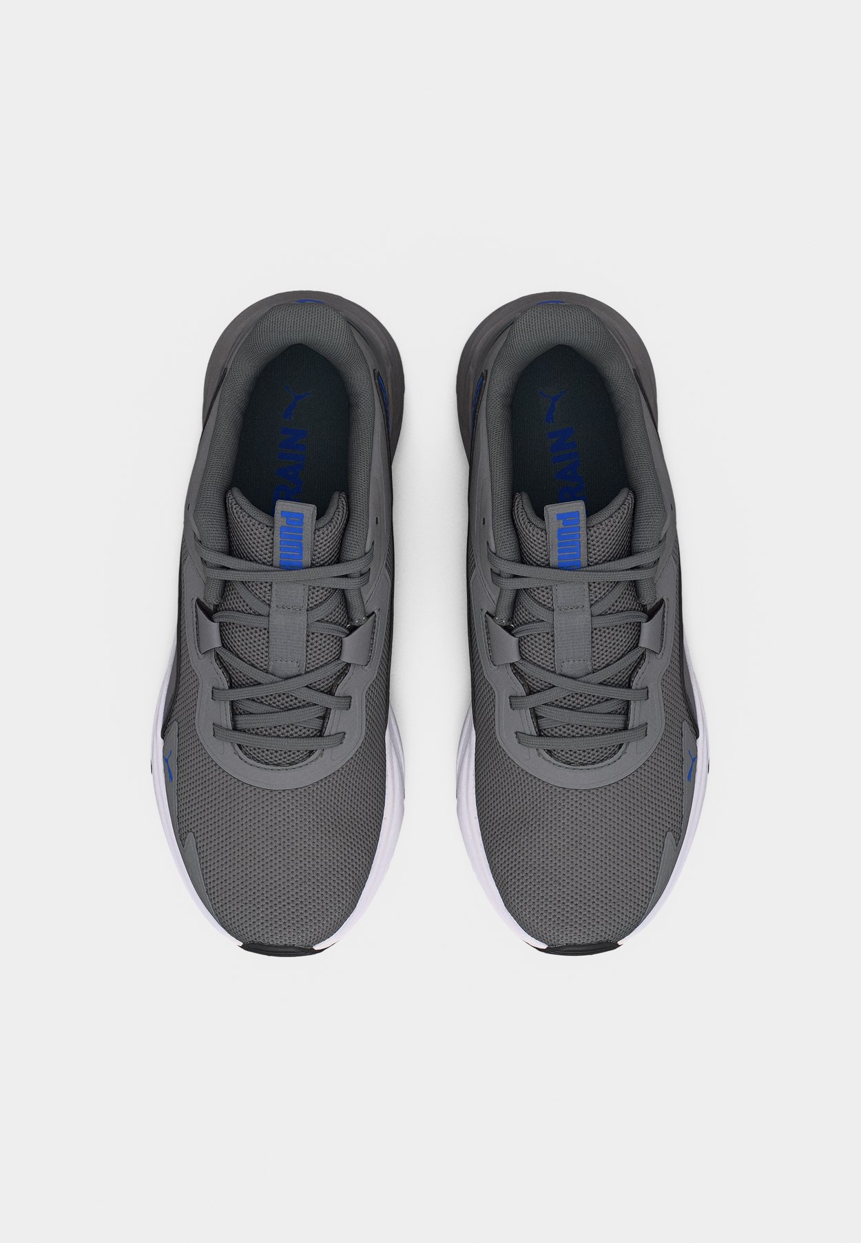 DISPERSE XT 4