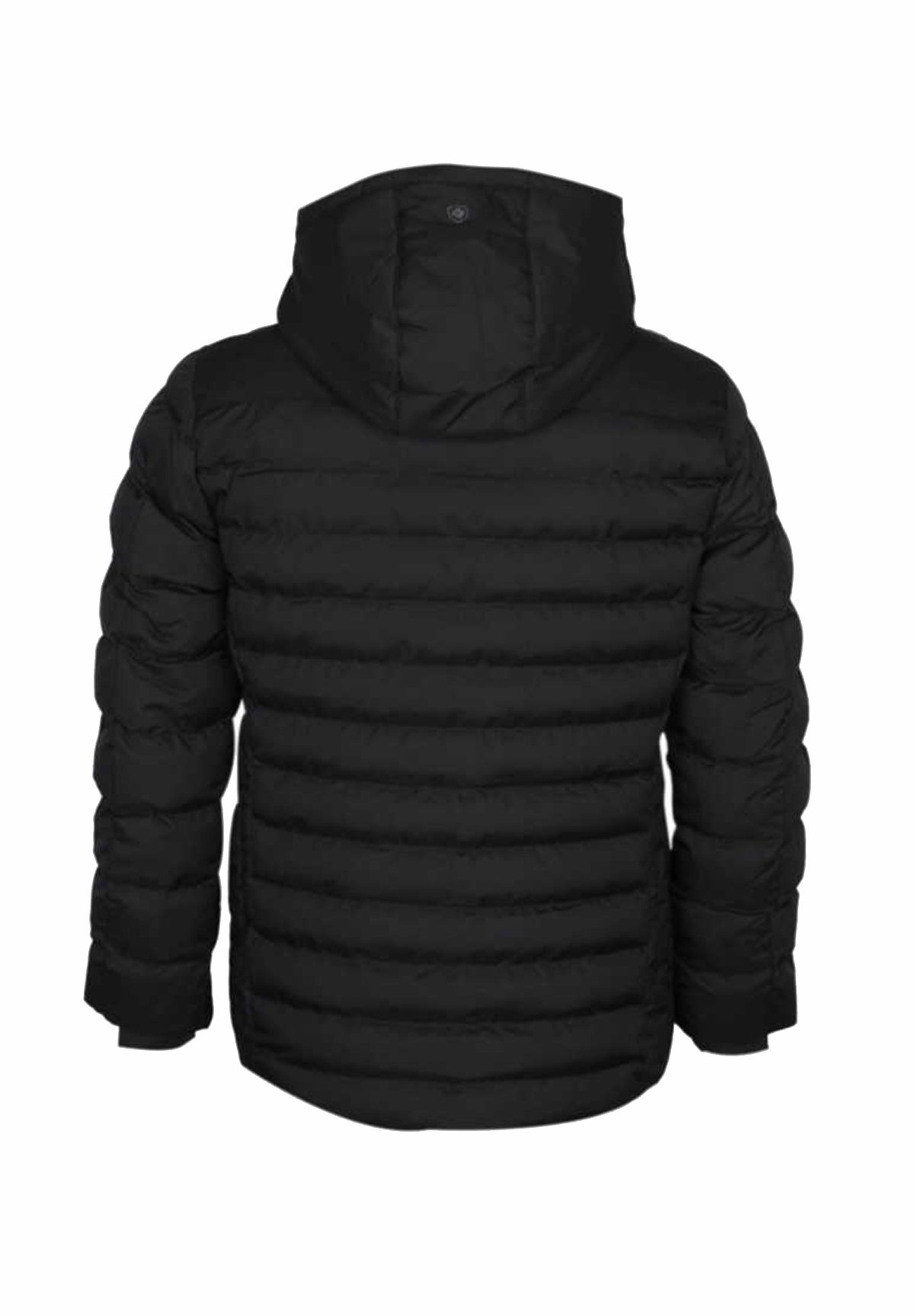 Wellensteyn Winter jacket - marineblau/blue - Zalando