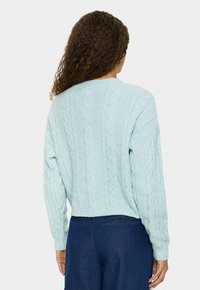Vrouw met krullend haar, gekleed in een lichtblauwe kabelgebreide trui en donkerblauwe spijkerbroek, met de rug naar de camera op een effen achtergrond.