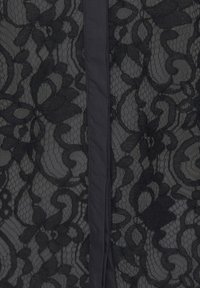 Tissu en dentelle noire présentant des motifs floraux avec une texture semblable à un filet. Un panneau noir uni traverse verticalement le centre.