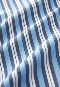 Next LONG SLEEVE - Nööpidega pluus - blue white stripe