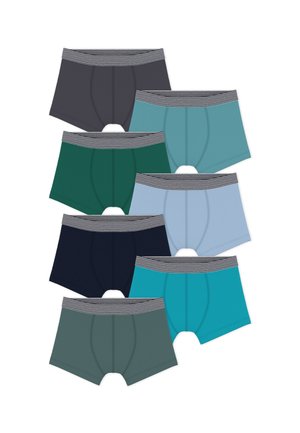 7 PACK - Underbukse - multi-colored