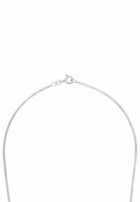 Collana in argento con un design fine e attorcigliato. Presenta una chiusura a gancio e una superficie liscia e uniforme.