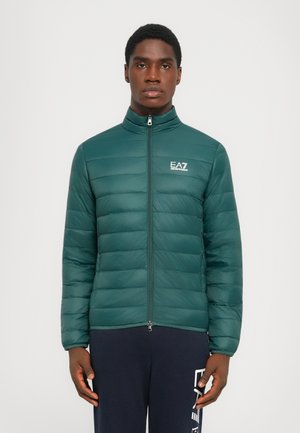 TRAIN CORE JACKET - Doudoune - ponderosa pine