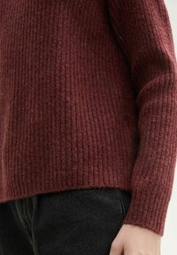 TOM TAILOR DENIM MIT STEHKRAGEN - Džemper - tawny port red melange