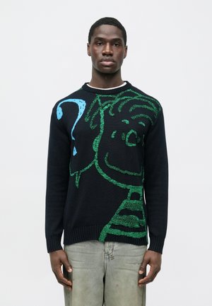 Noor mees, kes kannab musta kampsunit, millel on suur roheline multifilmikujutis ja sinise küsimärgi disain, kombineeritud heledate hallide teksadega, seisab valge tausta ees.