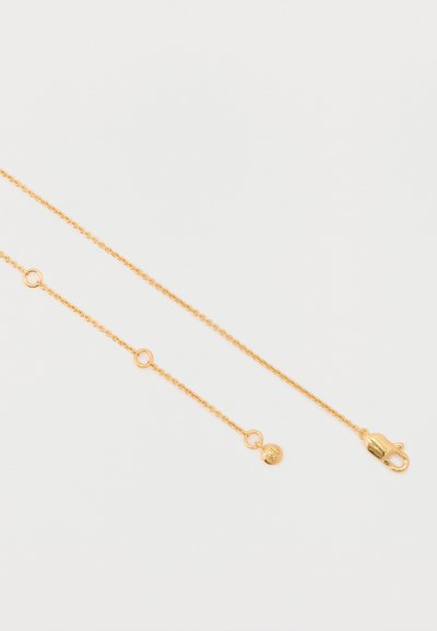 Colar de corrente em tom dourado com segmentos interligados, apresentando um fecho tipo lagosta e um pingente circular com detalhe gravado.