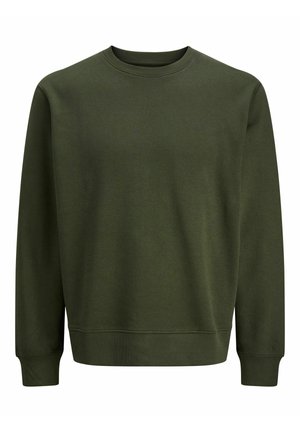 Sudadera verde hecha de tela suave. Presenta mangas largas, un cuello redondo y puños y dobladillo acanalados. Diseño minimalista, sin logotipos visibles.