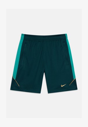 Ciemnozielone spodenki sportowe z turkusowymi bocznymi panelami, złotymi akcentami, bocznymi kieszeniami i złotym logo Nike na lewej nodze.