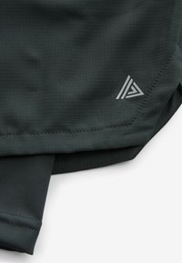 Next 2-IN-1 TRAINING - Shorts - slate grey