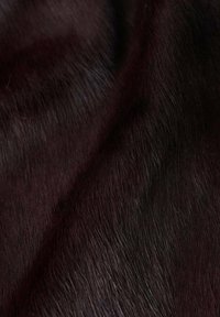 Tessuto in pelliccia nera con una texture morbida e liscia. Presenta una tonalità ricca e profonda con un leggero luccichio e fibre sottili che creano un effetto lucido.